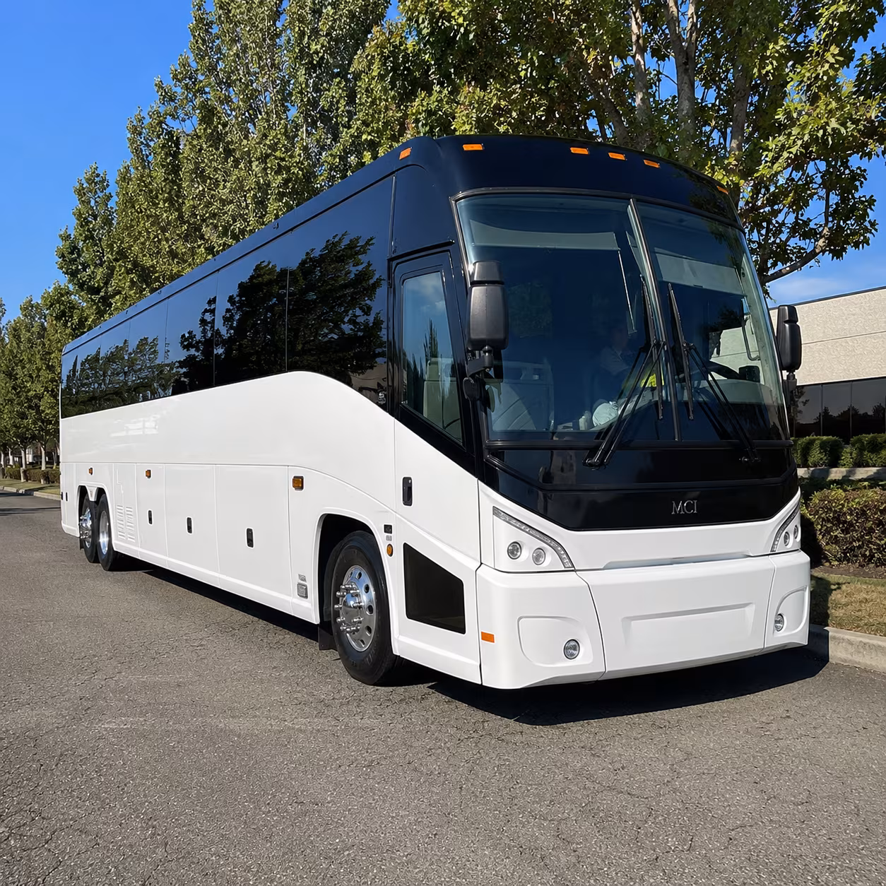 knoxville 50 passenger charter bus