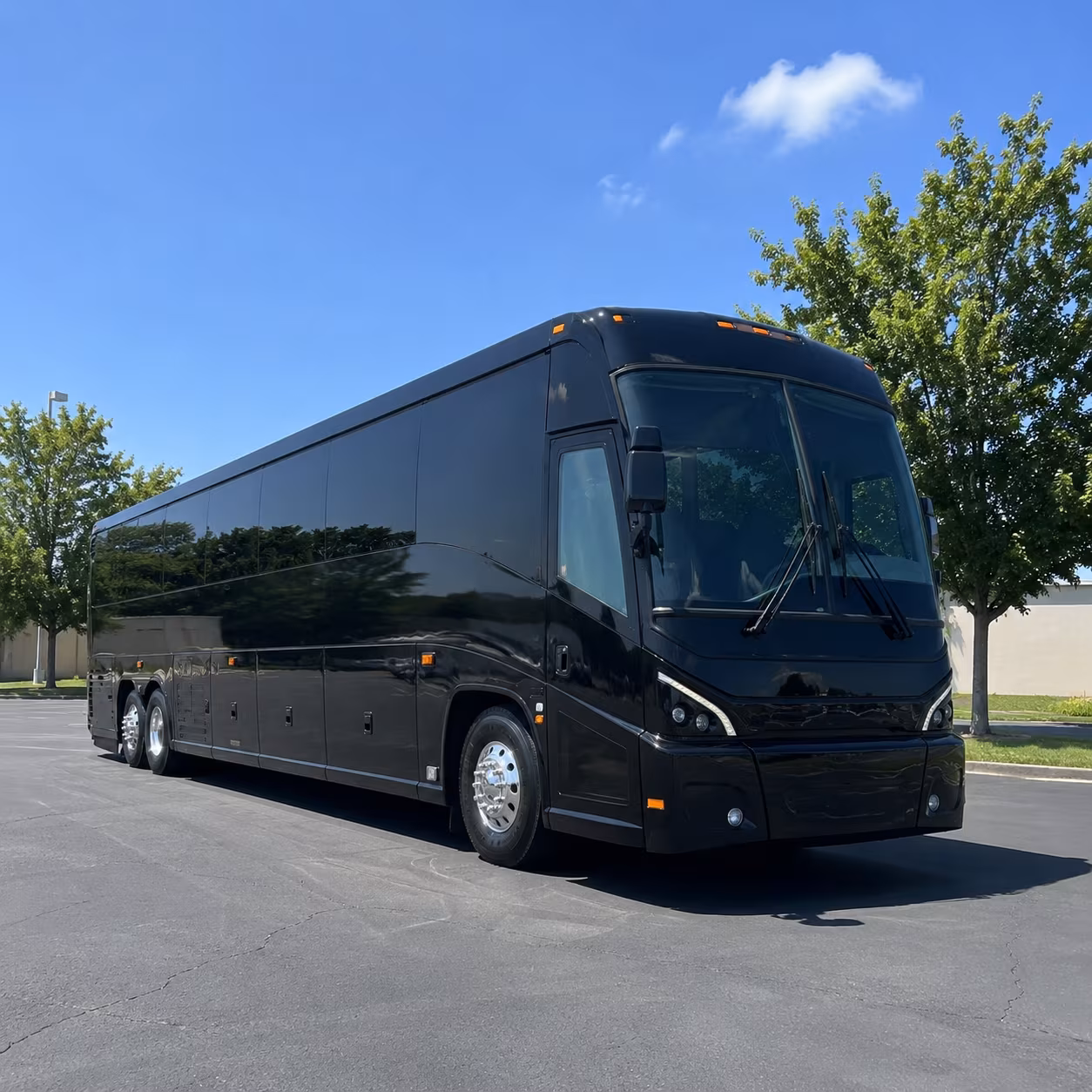 knoxville 56 passenger charter bus