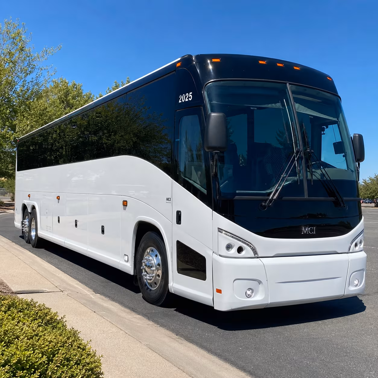 knoxville birthday party transportation onboard seating