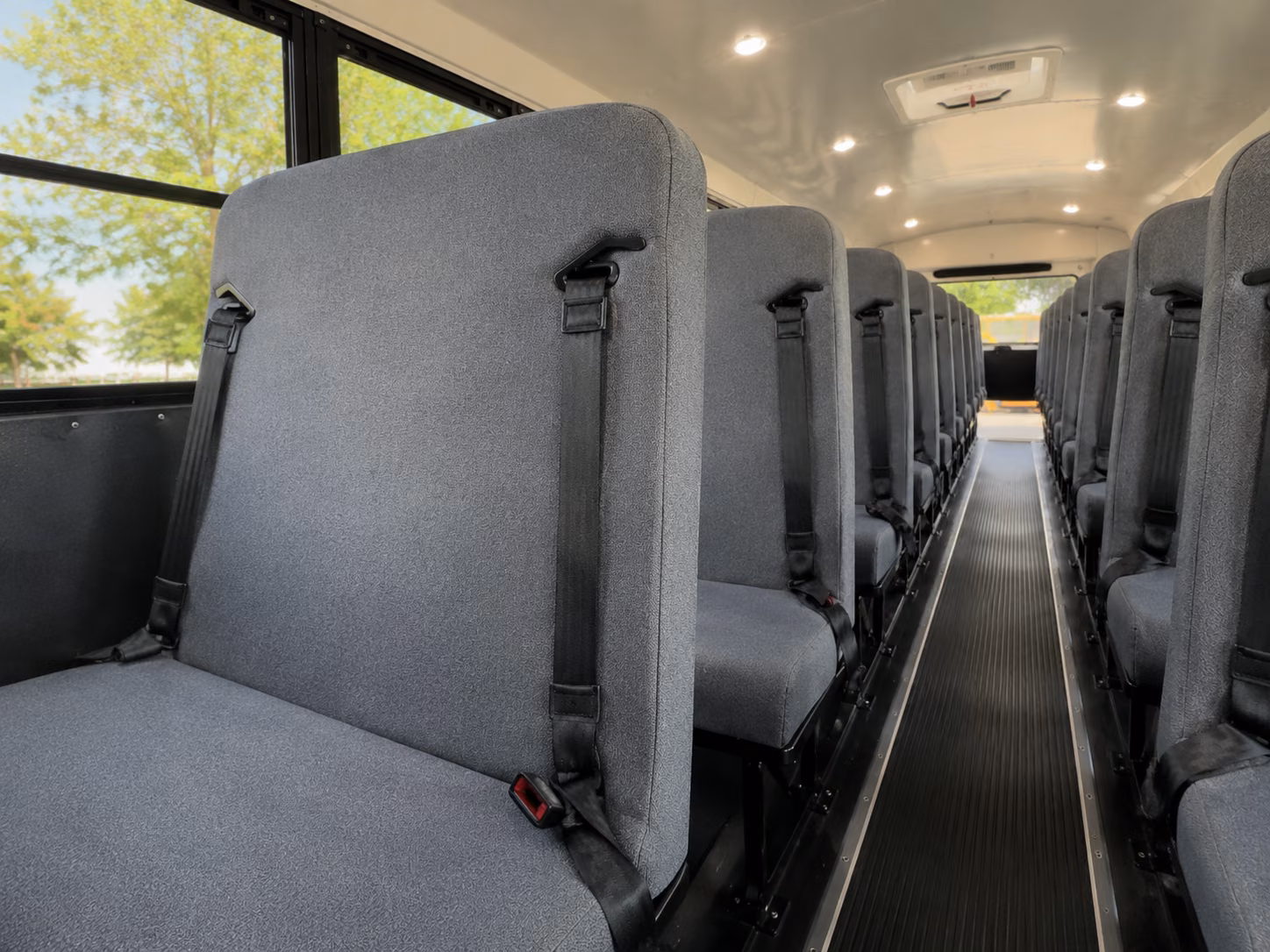 school buses and minibuses for knoxville zoo and nature field trips